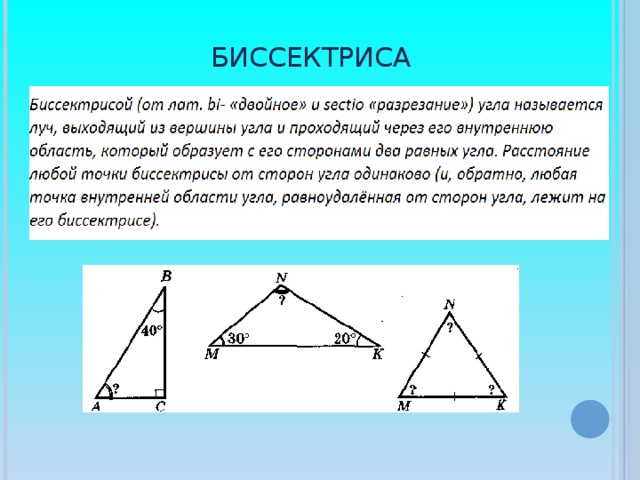 Биссектриса