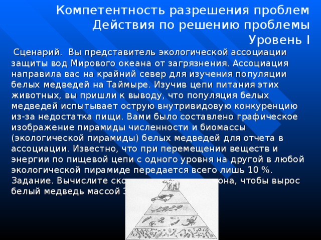 Компетентность разрешения проблем Действия по решению проблемы Уровень I   Сценарий. Вы представитель экологической ассоциации защиты вод Мирового океана от загрязнения. Ассоциация направила вас на крайний север для изучения популяции белых медведей на Таймыре. Изучив цепи питания этих животных, вы пришли к выводу, что популяция белых медведей испытывает острую внутривидовую конкуренцию из-за недостатка пищи. Вами было составлено графическое изображение пирамиды численности и биомассы (экологической пирамиды) белых медведей для отчета в ассоциации. Известно, что при перемещении веществ и энергии по пищевой цепи с одного уровня на другой в любой экологической пирамиде передается всего лишь 10 %.   Задание. Вычислите сколько нужно планктона, чтобы вырос белый медведь массой 300 кг.