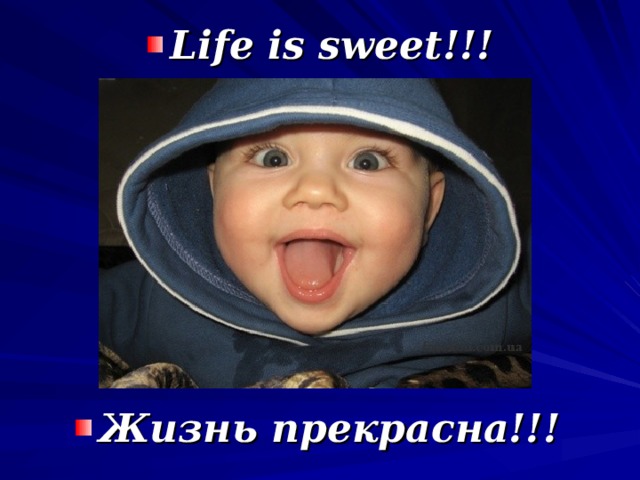 Life is sweet !!! Жизнь прекрасна!!!