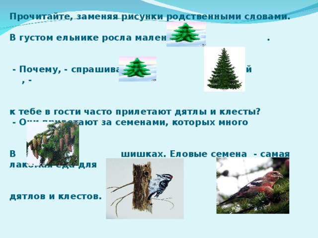 Прочитайте, заменяя рисунки родственными словами.  В густом ельнике росла маленькая .    - Почему, - спрашивала у старой , -   к тебе в гости часто прилетают дятлы и клесты?  - Они прилетают за семенами, которых много   В шишках. Еловые семена - самая лакомая еда для   дятлов и клестов.