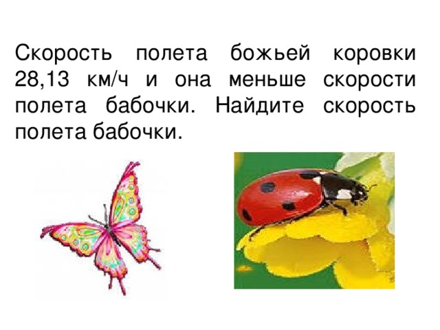 Скорость полета божьей коровки 28,13 км/ч и она меньше скорости полета бабочки. Найдите скорость полета бабочки.