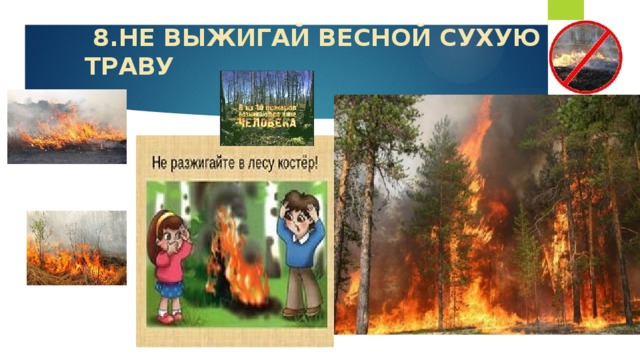 8.НЕ ВЫЖИГАЙ ВЕСНОЙ СУХУЮ ТРАВУ