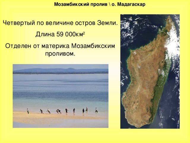 Мозамбикский пролив \ о. Мадагаскар Мозамбикский пролив \ о. Мадагаскар Четвертый по величине остров Земли. Длина 59 000км 2 Отделен от материка Мозамбикским проливом.