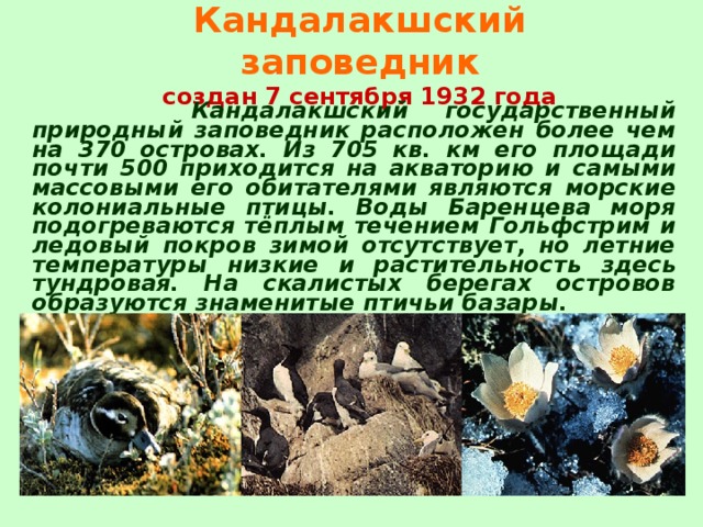 Кандалакшский заповедник  создан 7 сентября 1932 года   Кандалакшский государственный природный заповедник расположен более чем на 370 островах. Из 705 кв. км его площади почти 500 приходится на акваторию и самыми массовыми его обитателями являются морские колониальные птицы. Воды Баренцева моря подогреваются тёплым течением Гольфстрим и ледовый покров зимой отсутствует, но летние температуры низкие и растительность здесь тундровая. На скалистых берегах островов образуются знаменитые птичьи базары.