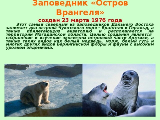 Заповедник «Остров Врангеля»  создан 23 марта 1976 года   Этот самый северный из заповедников Дальнего Востока занимает два острова Чукотского моря – Врангеля и Геральд, а также прилегающую акваторию и располагается на территории Магаданской области. Целью создания является сохранение и изучение экосистем островной части Арктики, а также таких видов как белый медведь, морж, белый гусь и многих других видов Берингийской флоры и фауны с высоким уровнем эндемизма.