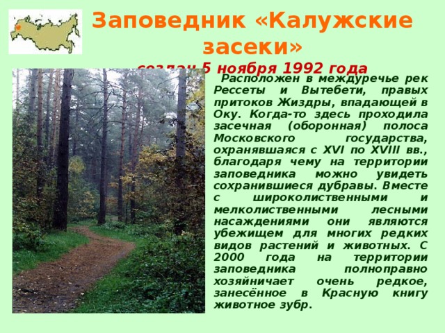 Заповедник «Калужские засеки»  создан 5 ноября 1992 года    Расположен в междуречье рек Рессеты и Вытебети, правых притоков Жиздры, впадающей в Оку. Когда-то здесь проходила засечная (оборонная) полоса Московского государства, охранявшаяся с XVI по XVIII вв., благодаря чему на территории заповедника можно увидеть сохранившиеся дубравы. Вместе с широколиственными и мелколиственными лесными насаждениями они являются убежищем для многих редких видов растений и животных. С 2000 года на территории заповедника полноправно хозяйничает очень редкое, занесённое в Красную книгу животное зубр.