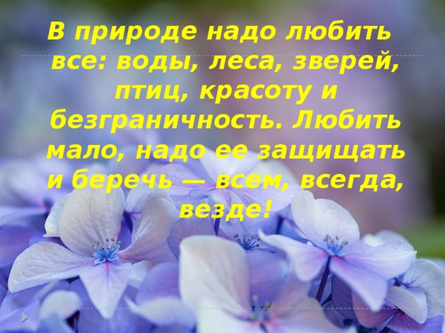 В природе надо любить все: воды, леса, зверей, птиц, красоту и безграничность. Любить мало, надо ее защищать и беречь — всем, всегда, везде!