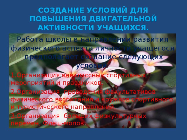 СОЗДАНИЕ УСЛОВИЙ ДЛЯ ПОВЫШЕНИЯ ДВИГАТЕЛЬНОЙ АКТИВНОСТИ УЧАЩИХСЯ. Работа школы в направлении развития физического аспекта личности учащегося предполагает создание следующих условий: Организация внеклассных спортивных мероприятий и праздников. Организация проведения факультативов физического воспитания и кружков спортивного и туристического направлений. Организация больших физкультурных перемен, Флеш-мопов .