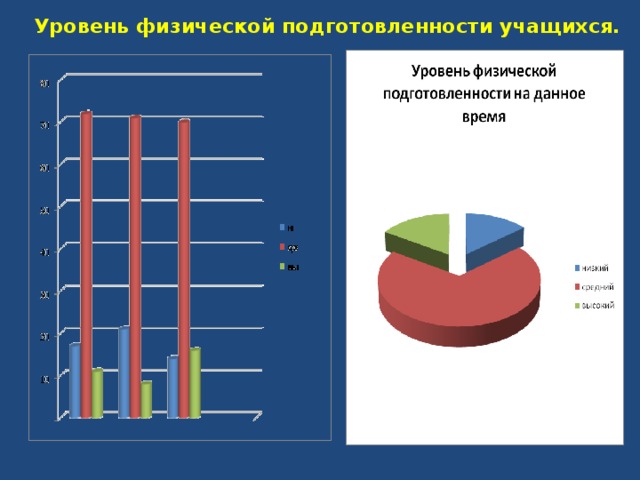 Уровень физической подготовленности учащихся.