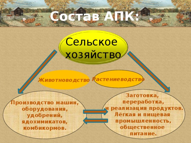 Состав АПК: Сельское хозяйство Растениеводство Животноводство  Заготовка, переработка,  и реализация продуктов. Лёгкая и пищевая промышленность, общественное питание.  Производство машин, оборудования, удобрений, ядохимикатов, комбикормов.