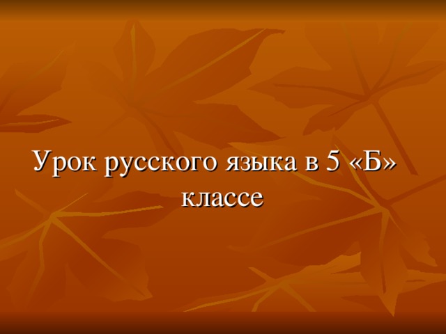 Урок русского языка в 5 «Б» классе