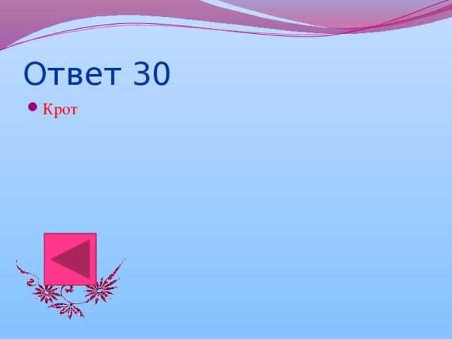 Ответ 30