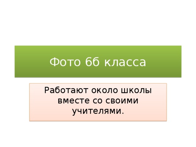 Фото 6б класса Работают около школы вместе со своими учителями.