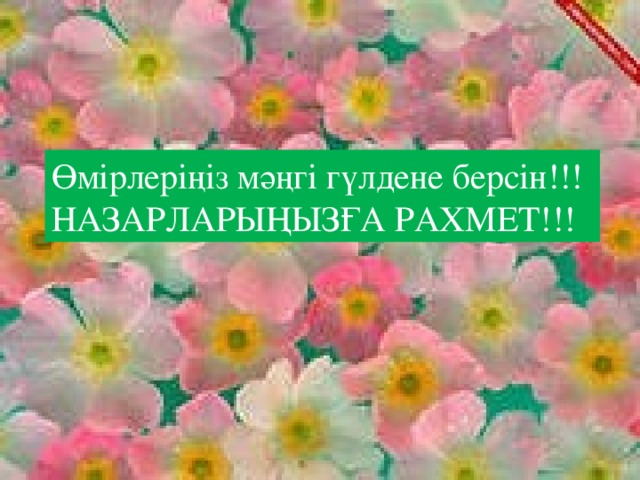 Өмірлеріңіз мәңгі гүлдене берсін!!! НАЗАРЛАРЫҢЫЗҒА РАХМЕТ!!!