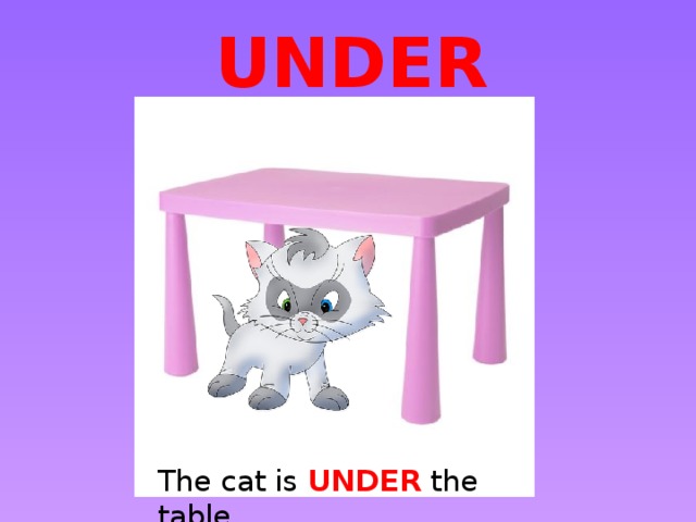 UNDER The cat is UNDER the table