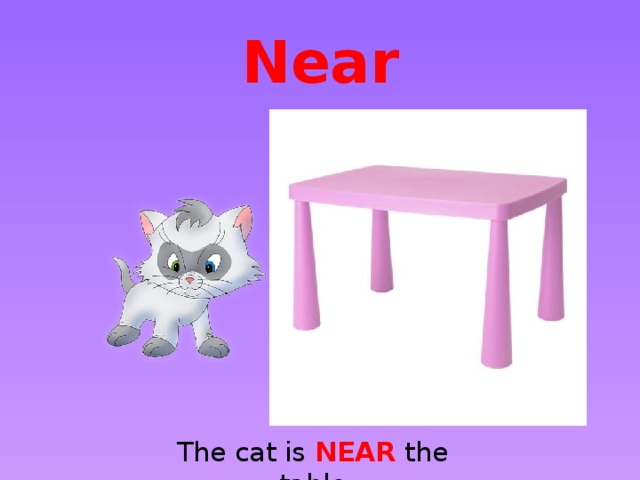 Near The cat is NEAR the table
