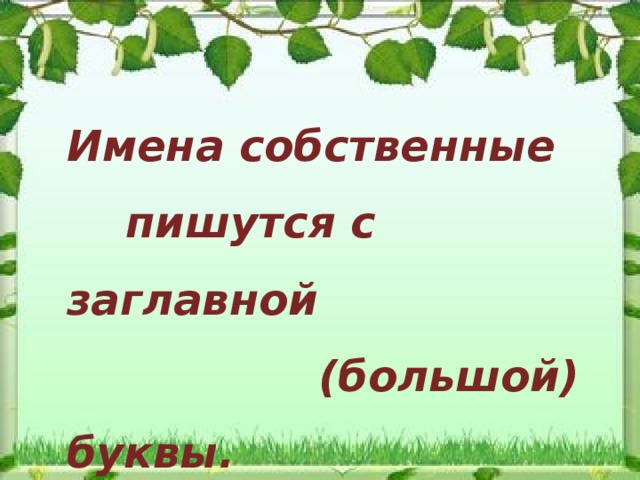 Имена собственные  пишутся с заглавной  (большой) буквы.