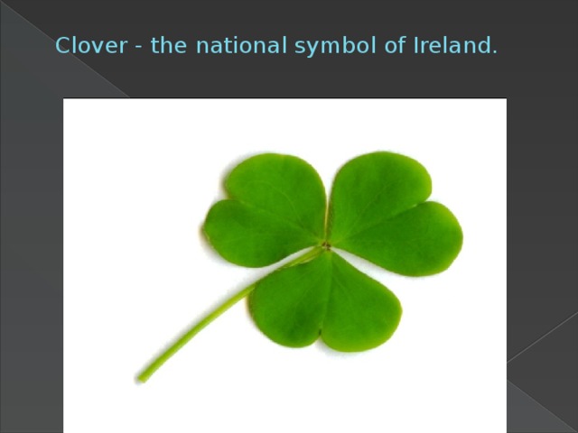 Clover - the national symbol of Ireland.