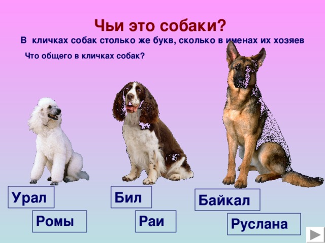 Перевод клички собаки