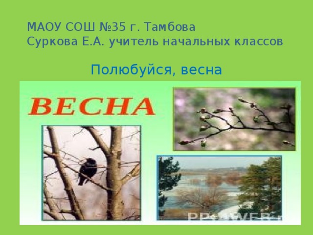 МАОУ СОШ №35 г. Тамбова  Суркова Е.А. учитель начальных классов   Полюбуйся, весна наступает!