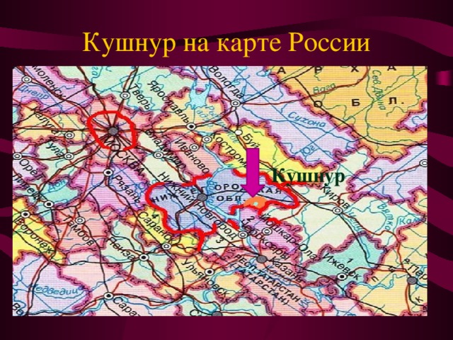 Кушнур на карте России  Кушнур