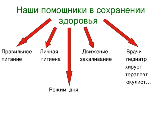 Наши помощники в сохранении здоровья   Режим дня