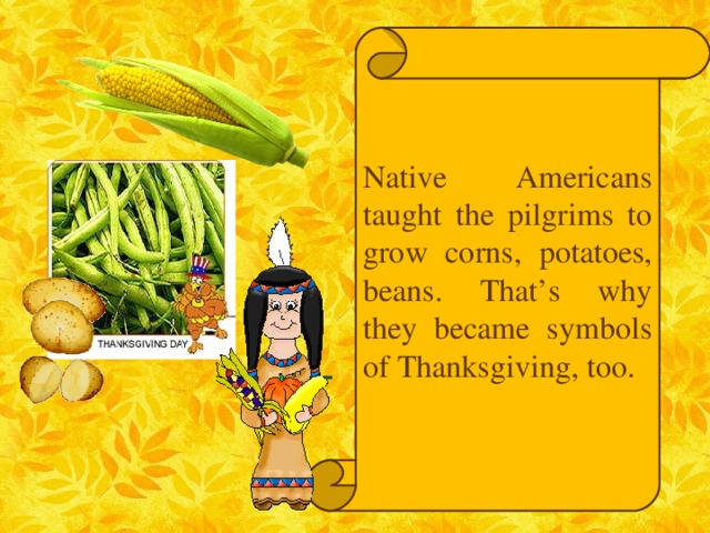 Native Americans taught the pilgrims to grow corns , potatoes, beans. That’s why they became symbols of Thanksgiving, too.