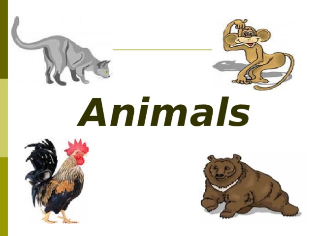 Доклад по теме Animals