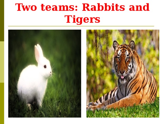Two teams: Rabbits and Tigers