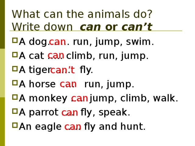What can the animals do? Write down can or can’t can A dog……. run, jump, swim. A cat ….. climb, run, jump. A tiger …. fly. A horse …. run, jump. A monkey …. jump, climb, walk. A parrot …. fly, speak. An eagle ….. fly and hunt.    can can’t can can can can