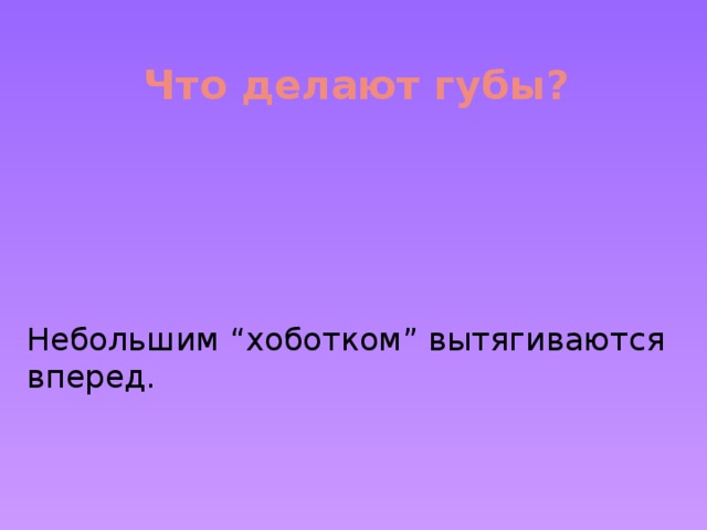 Что делают губы?   Небольшим “хоботком” вытягиваются вперед.