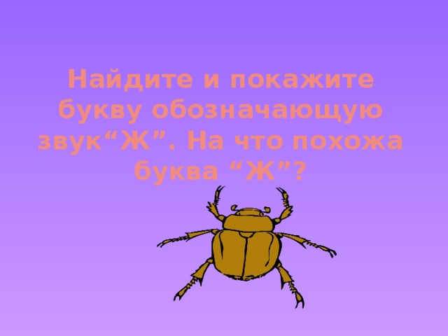 Найдите и покажите букву обозначающую звук“Ж”. На что похожа буква “Ж”?