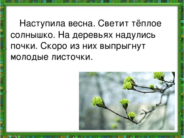 Наступила весна. Светит тёплое солнышко. На деревьях надулись почки. Скоро из них выпрыгнут молодые листочки.