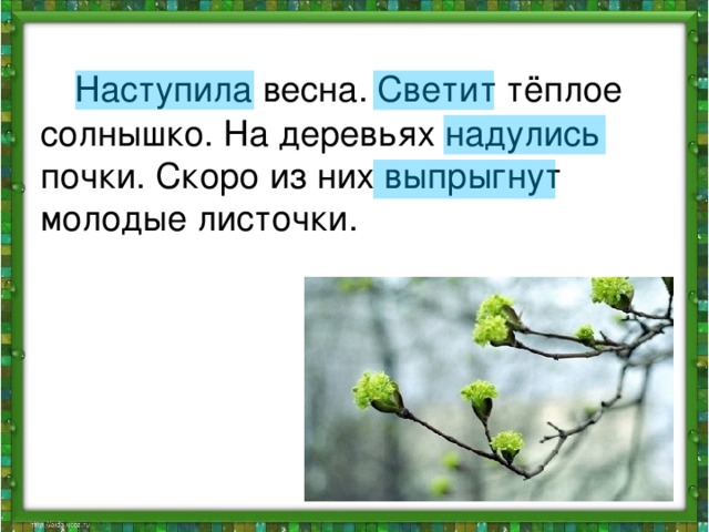 Наступила весна. Светит тёплое солнышко. На деревьях надулись почки. Скоро из них выпрыгнут молодые листочки.