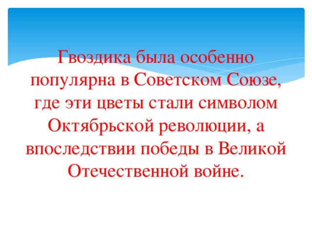 Гвоздика была особенно популярна в Советском Союзе, где эти цветы стали символом Октябрьской революции, а впоследствии победы в Великой Отечественной войне.