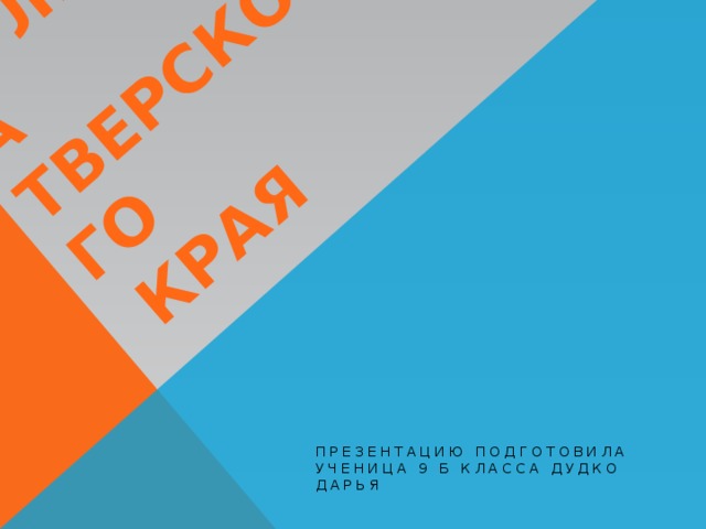 Культура  Тверского  края Презентацию подготовила ученица 9 Б класса Дудко Дарья