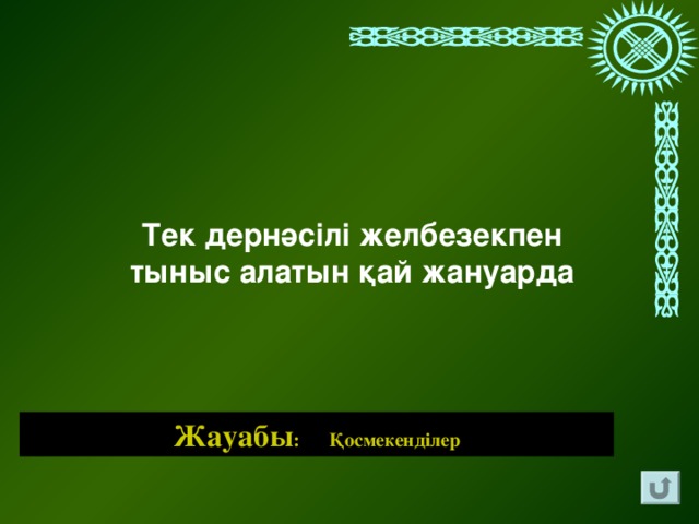 Тек дернәсілі желбезекпен тыныс алатын қай жануарда Жауабы : Қосмекенділер