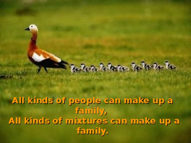 All kinds of people can make up a family,  All kinds of mixtures can make up a family.