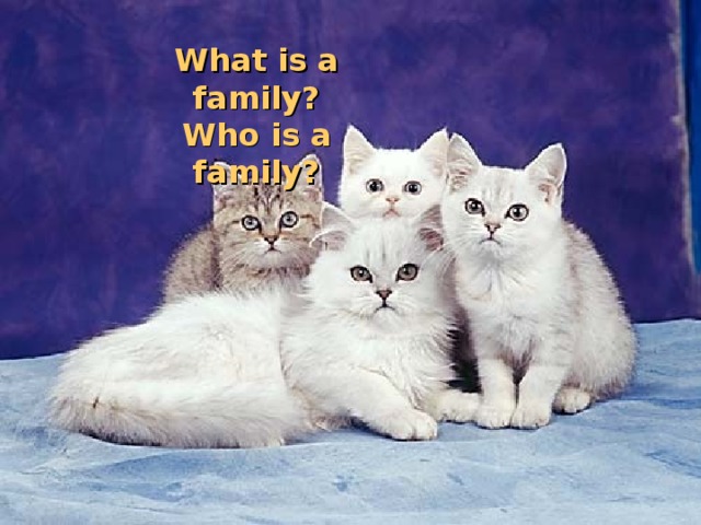 What is a family?  Who is a family?
