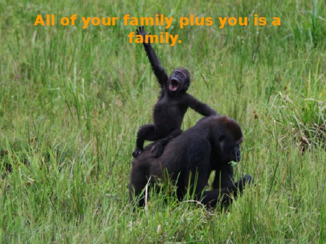 All of your family plus you is a family.