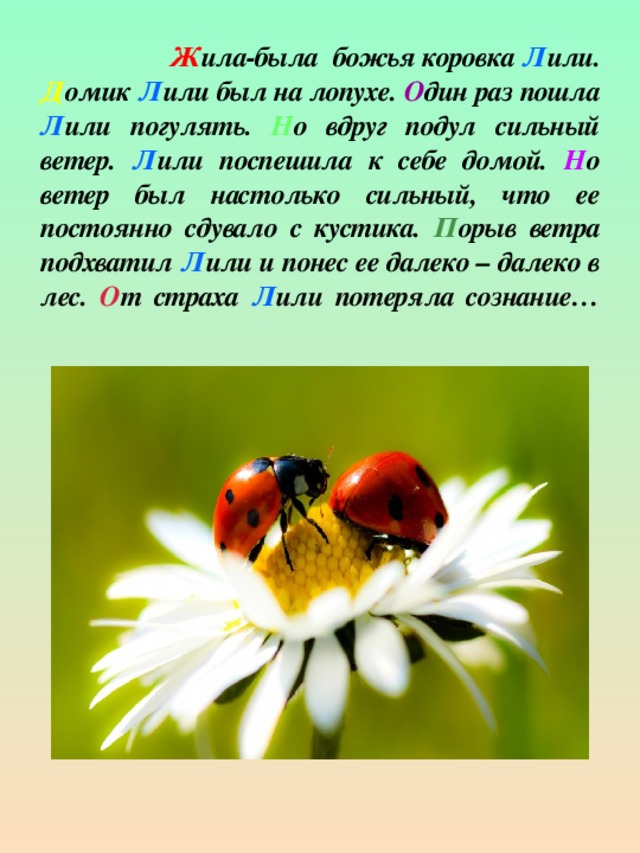 Ж ила-была божья коровка Л или. Д омик Л или был на лопухе. О дин раз пошла Л или погулять. Н о вдруг подул сильный ветер. Л или поспешила к себе домой. Н о ветер был настолько сильный, что ее постоянно сдувало с кустика. П орыв ветра подхватил Л или и понес ее далеко – далеко в лес. О т страха Л или потеряла сознание…