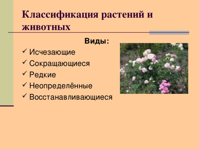 Классификация растений и животных   Виды: