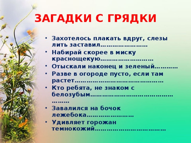 ЗАГАДКИ С ГРЯДКИ