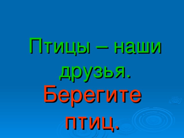 Птицы – наши друзья. Берегите птиц.