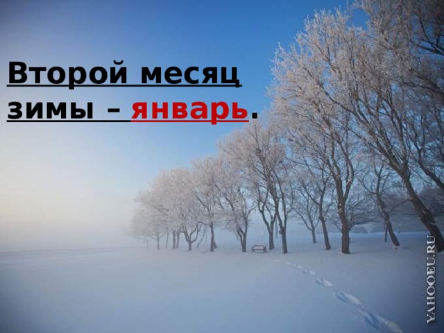 Второй месяц зимы – январь .