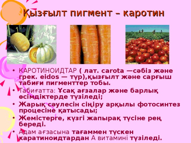 Қызғылт пигмент – каротин  КАРОТИНОИДТАР ( лат. carota —сәбіз және грек. eidos — түр),қызғылт және сарғыш табиғи пигменттер тобы. Табиғатта: Ұсақ ағзалар және барлық өсімдіктерде түзіледі; Жарық сәулесін сіңіру арқылы фотосинтез процесіне қатысады; Жемістерге, күзгі жапырақ түсіне рең береді. Адам ағзасына тағаммен түскен каратиноидтардан А витамині түзіледі. 10