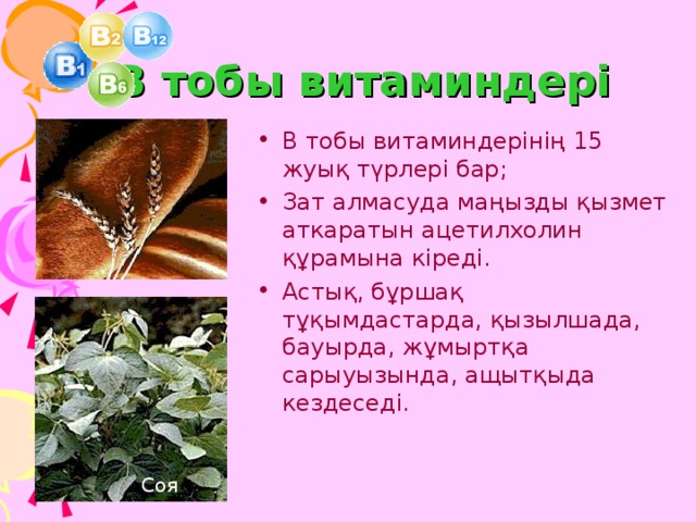 В тобы витаминдері В тобы витаминдерінің 15 жуық түрлері бар; Зат алмасуда маңызды қызмет аткаратын ацетилхолин құрамына кіреді. Астық, бұршақ тұқымдастарда, қызылшада, бауырда, жұмыртқа сарыуызында, ащытқыда кездеседі. Соя  13