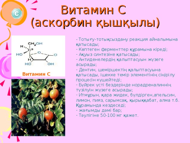 Витамин С  (аскорбин қышқылы) - Тотығу-тотықсыздану реакция айналымына қатысады;  Көптеген ферменттер құрамына кіреді;  Ақуыз синтезіне қатысады;  Антиденелердің қалыптасуын жүзеге асырады;  Дентин, шеміршектің қалыптасуына қатысады, ішекке темір элементінің сіңірілу процесін күшейтеді;  Бүйрек үсті бездерінде норадреналиннің түзілуін жүзеге асырады;  Итмұрын, қара жидек, бүлдірген,апельсин, лимон, пияз, сарымсақ, қырыққабат, алма т.б. Құрамында кездеседі;  жағымды дәмі бар;  Тәулігіне 50-100 мг қажет. Витамин С 19