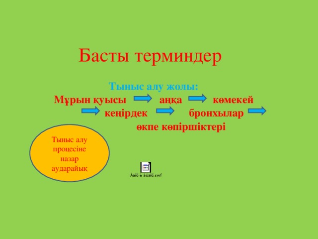 Басты терминдер    Тыныс алу жолы: Мұрын қуысы аңқа көмекей  кеңірдек бронхылар  өкпе көпіршіктері Тыныс алу процесіне назар аударайық