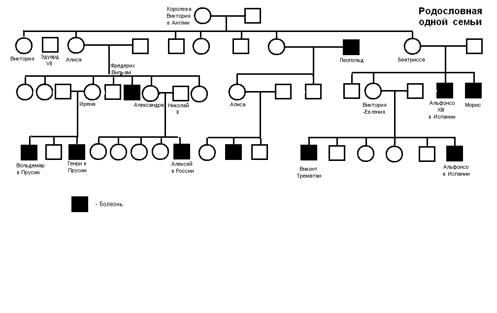 Как рисовать генеалогическое дерево генетика